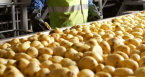 CK_Spuds_4848